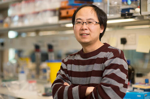 Assistant Professor Kai (Jack) Zhang
